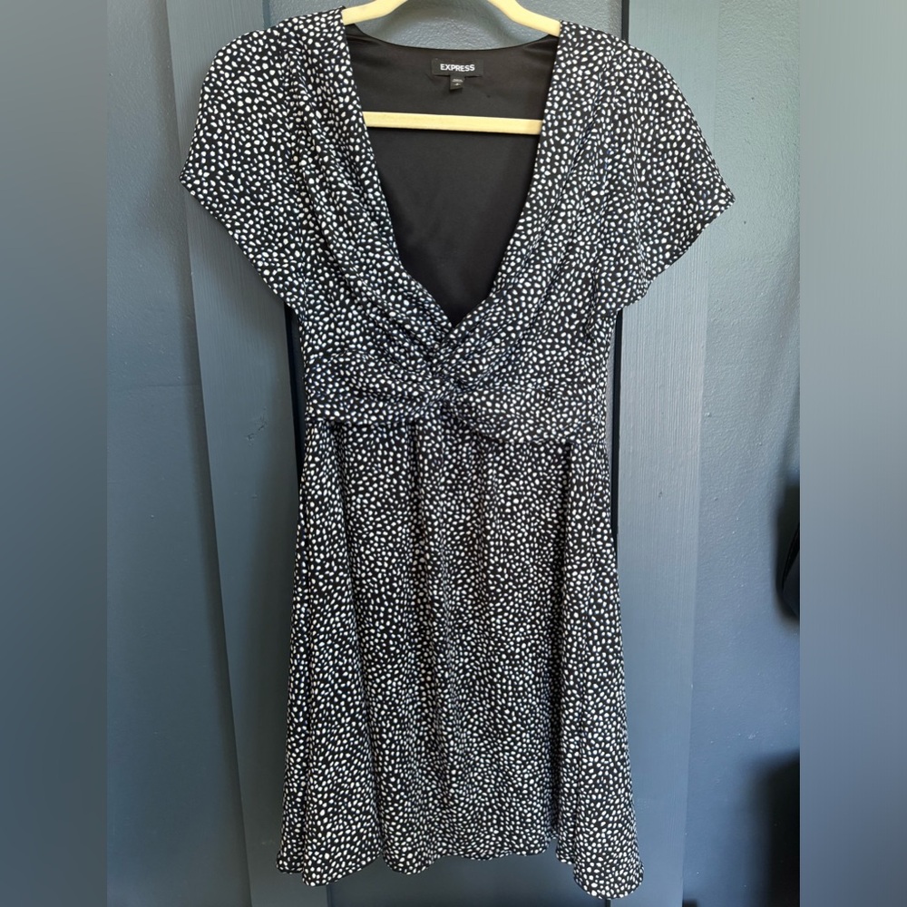 Express Women’s Dress